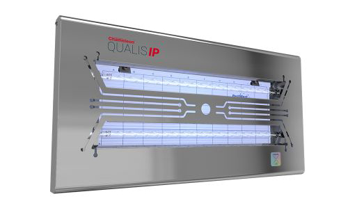 Qualis IP