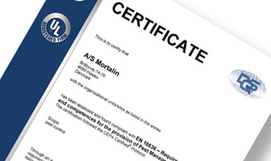 billede-forside-certificate
